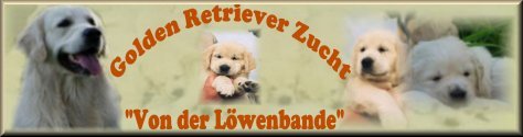 Bild5.jpg (15388 Byte)