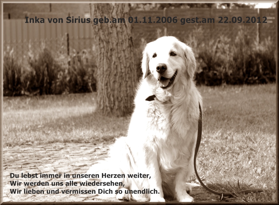 Img_5827.jpg (237797 Byte)