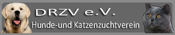 Bild5.jpg (15388 Byte)